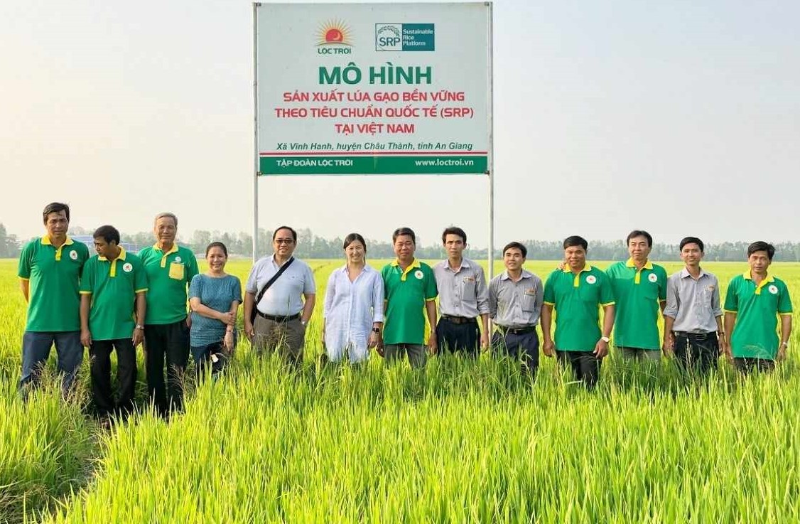 &quot;Ông lớn&quot; lúa gạo lập thêm 3 kỷ lục mới - Ảnh 2.