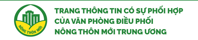 Quảng Nam: Tiên Phước quyết tâm hoàn thành huyện nông thôn mới vào năm 2024 - Ảnh 11.