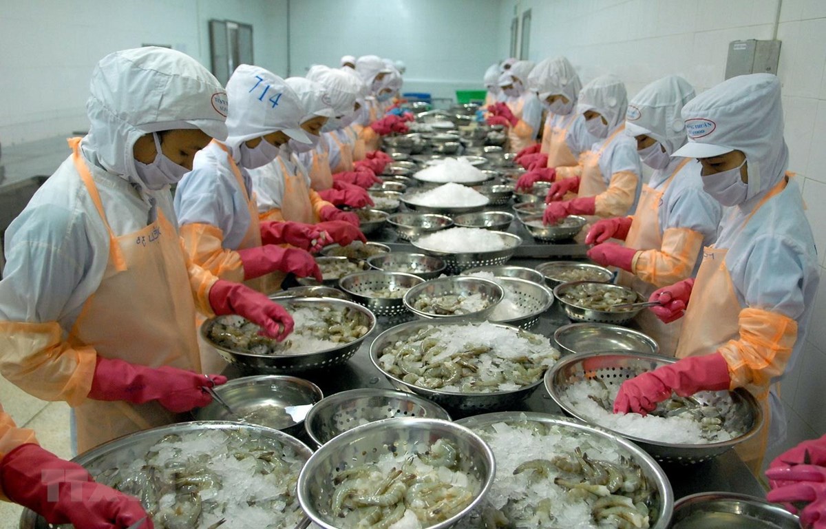 Vì sao thủy sản Việt dễ bị kiện phòng vệ thương mại ở nước ngoài? - Ảnh 1.