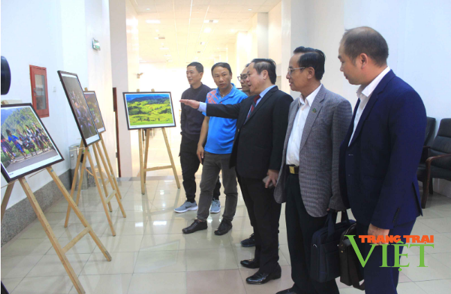 Các tác phẩm đạt giải mang đậm dấu ấn về miền đất và con người Lai Châu - Ảnh 1. Các tác phẩm đạt giải mang đậm dấu ấn về miền đất và con người Lai Châu - Ảnh 1.