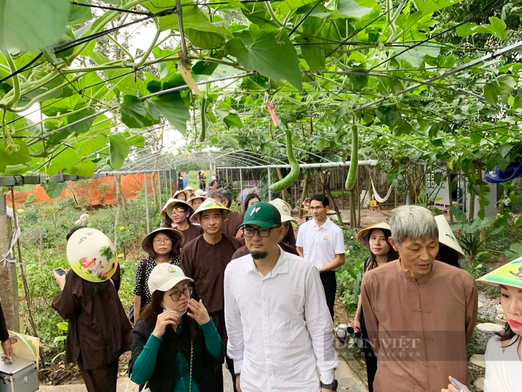 Hà Nội: Ra mắt mô hình du lịch nông nghiệp gắn với cộng đồng - Ảnh 1.