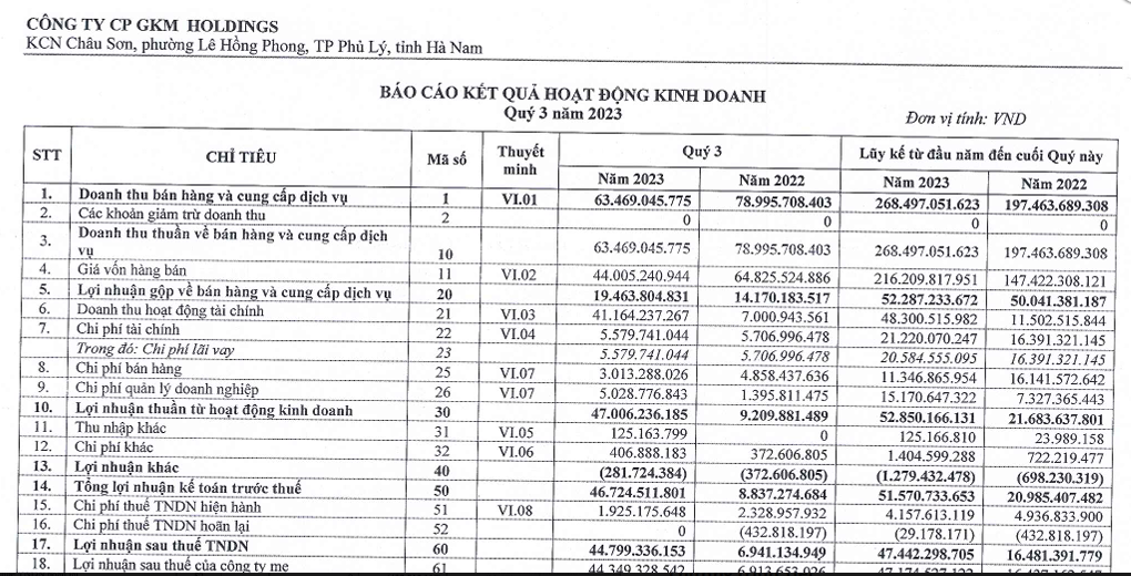 GKM Holdings (GKM) góp 60 tỷ đồng thành lập công ty ngành điện - Ảnh 1.