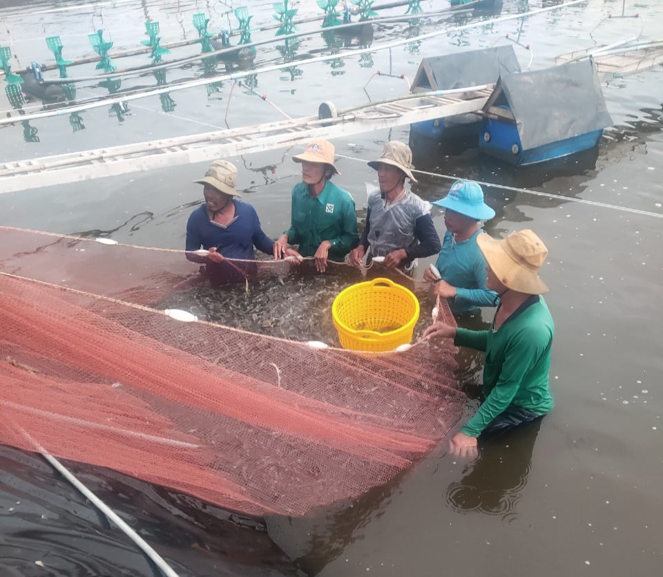 Huyện Đông Hải, tỉnh Bạc Liêu làm gì mà dân “rủ” nhau thoát nghèo liên tiếp cùng nhau xây dựng quê hương - Ảnh 4.