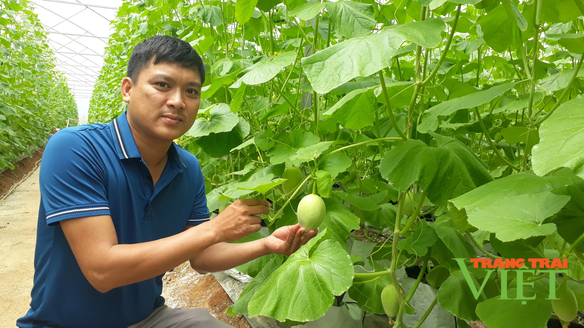 Lai Châu: Ứng dụng tiến bộ khoa học kĩ thuật vào sản xuất, nông dân Tân Uyên khá giả hẳn lên - Ảnh 4. Lai Châu: Ứng dụng tiến bộ khoa học kĩ thuật vào sản xuất, nông dân Tân Uyên khá giả hẳn lên - Ảnh 4.