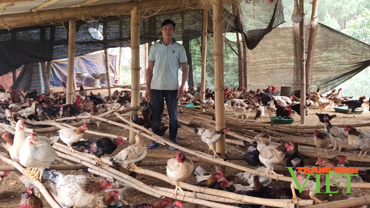 Hội Nông dân Than Uyên: Nhiều hoạt động tư vấn, hỗ trợ nông dân khởi nghiệp sáng tạo - Ảnh 2. Hội Nông dân Than Uyên: Nhiều hoạt động tư vấn, hỗ trợ nông dân khởi nghiệp sáng tạo - Ảnh 2.