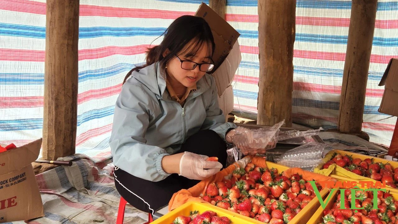 Hội Nông dân Than Uyên: Nhiều hoạt động tư vấn, hỗ trợ nông dân khởi nghiệp sáng tạo - Ảnh 3. Hội Nông dân Than Uyên: Nhiều hoạt động tư vấn, hỗ trợ nông dân khởi nghiệp sáng tạo - Ảnh 3.