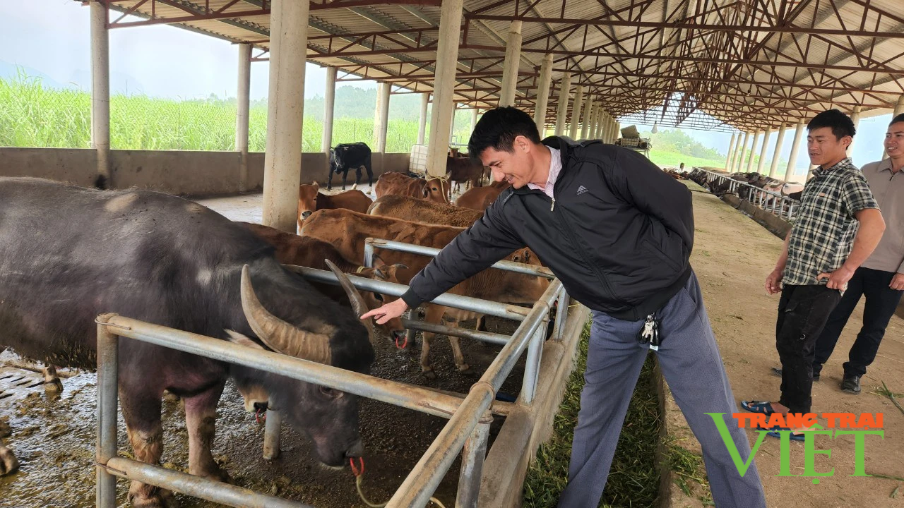 Hội Nông dân Than Uyên: Nhiều hoạt động tư vấn, hỗ trợ nông dân khởi nghiệp sáng tạo - Ảnh 4. Hội Nông dân Than Uyên: Nhiều hoạt động tư vấn, hỗ trợ nông dân khởi nghiệp sáng tạo - Ảnh 4.