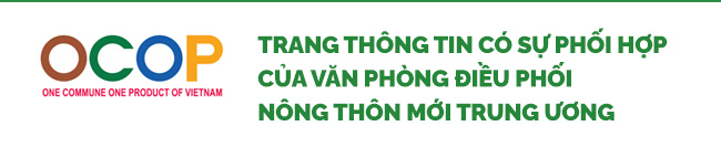 Ở huyện này của tỉnh Quảng Bình, sản phẩm OCOP bán qua sàn thương mại điện tử, mạng xã hội rất hút khách - Ảnh 6.