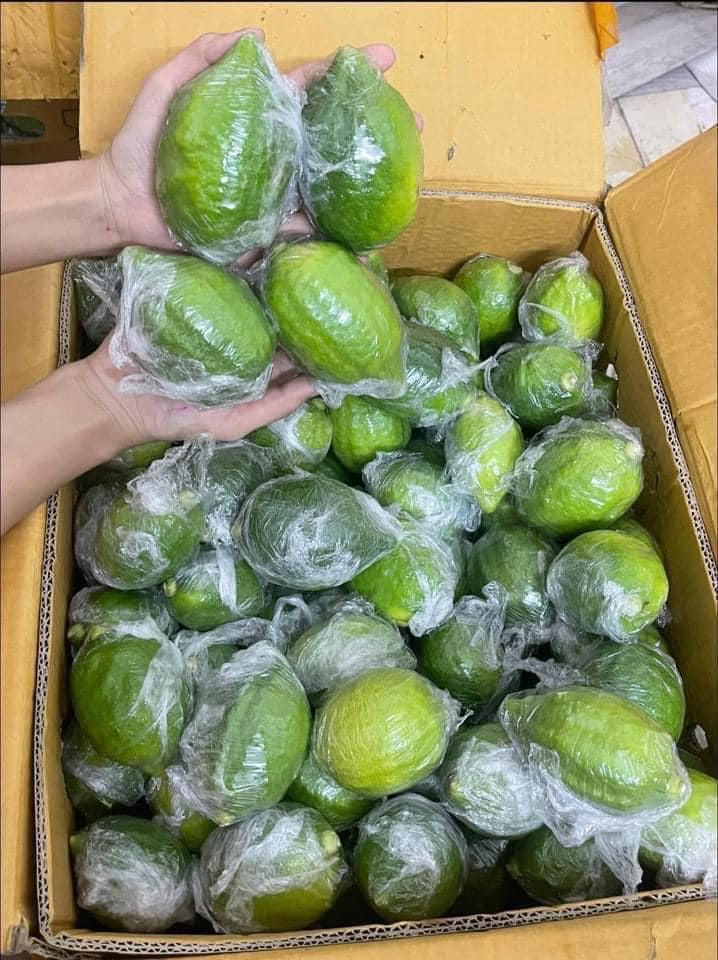 Chanh tươi Quảng Đông gây sốt, giá cao gấp nhiều lần hàng Việt vẫn hút khách - Ảnh 1.