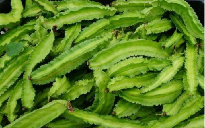 Đây là vua của các loại đậu, ví như vàng xanh, được săn lùng vì tốt cho sức khỏe - Ảnh 1. Đây là vua của các loại đậu, ví như vàng xanh, được săn lùng vì tốt cho sức khỏe - Ảnh 1.