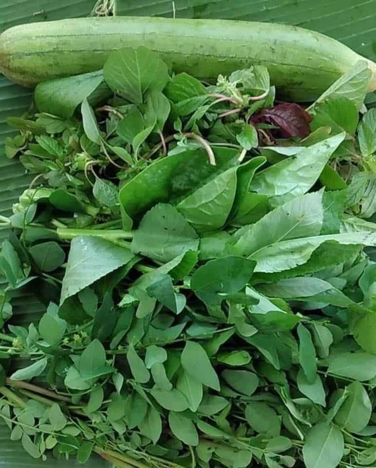 Đây là thứ rau hoang mọc dại, chả ai tưới tắm, nghe tên ai cũng mê, ra chợ thì hiếm khi gặp - Ảnh 1.
