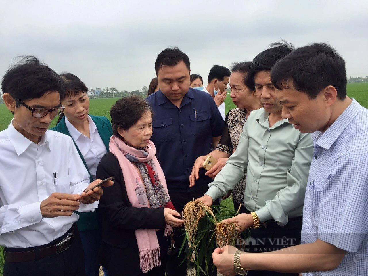 Đại hội VIII Hội NDVN: 721.114 hội viên, nông dân được hưởng lợi trực tiếp từ các chương trình, dự án quốc tế - Ảnh 3.