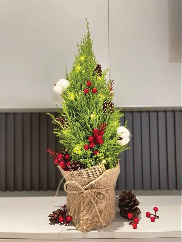 Tiết kiệm chi phí với “bản sao” của cây thông- Ảnh 1.
