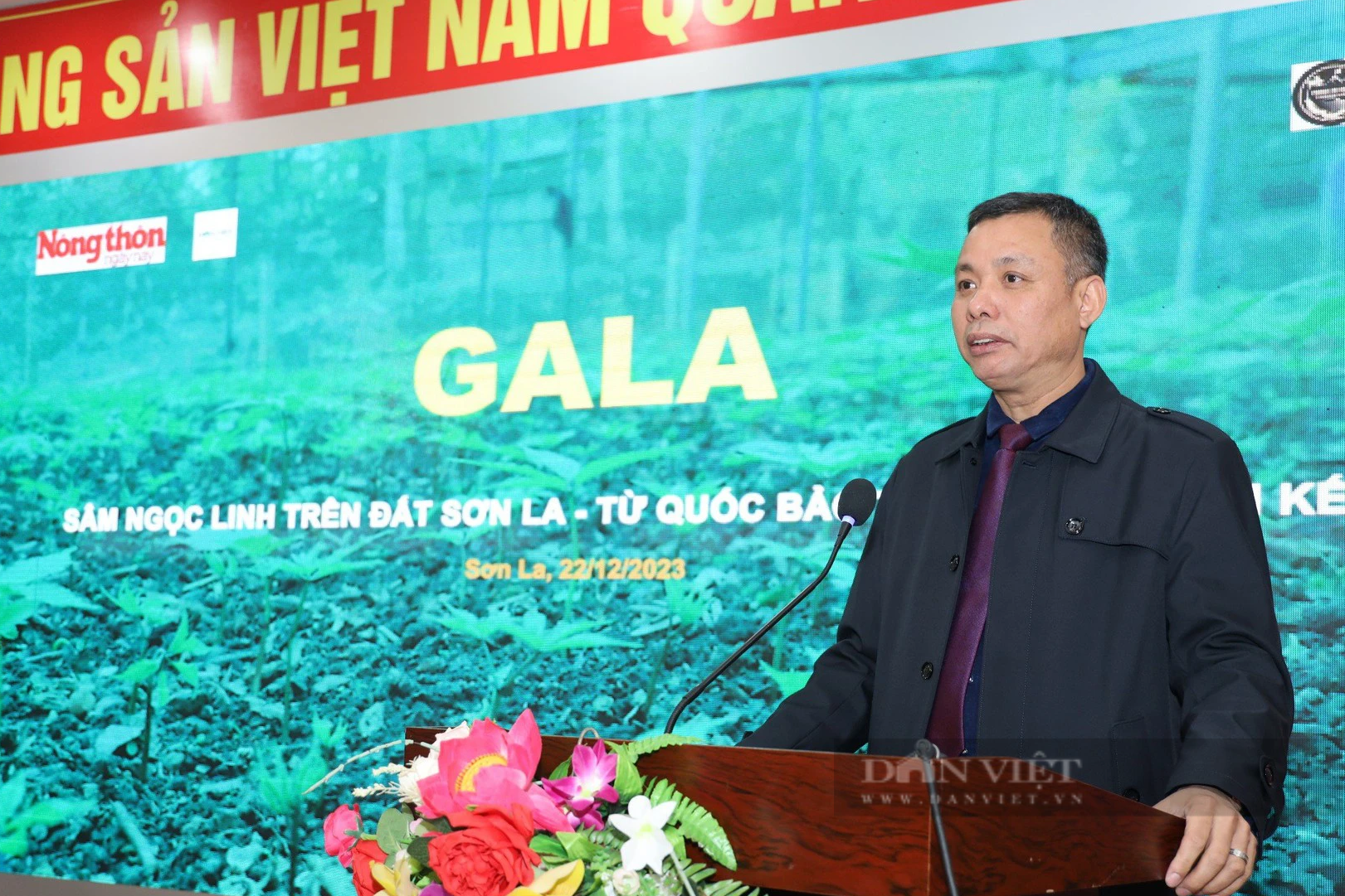Tỉnh Sơn La sẽ tạo điều kiện tốt nhất phát triển cây Sâm Ngọc Linh - Ảnh 2.