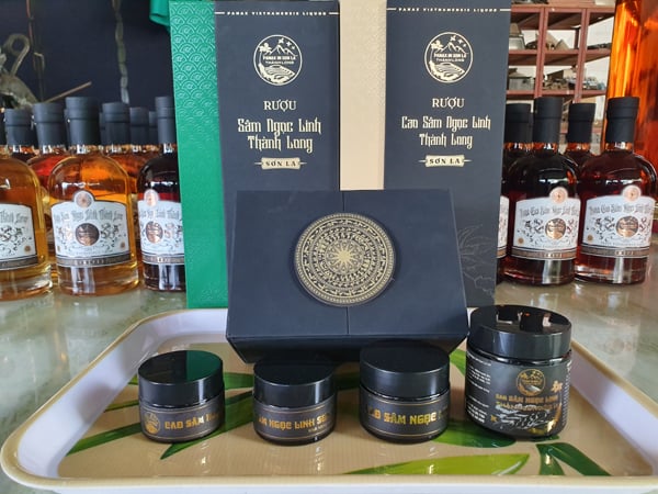  Gala "Sâm Ngọc Linh trên đất Sơn La - Từ Quốc bảo trở thành sinh kế"- Ảnh 3.