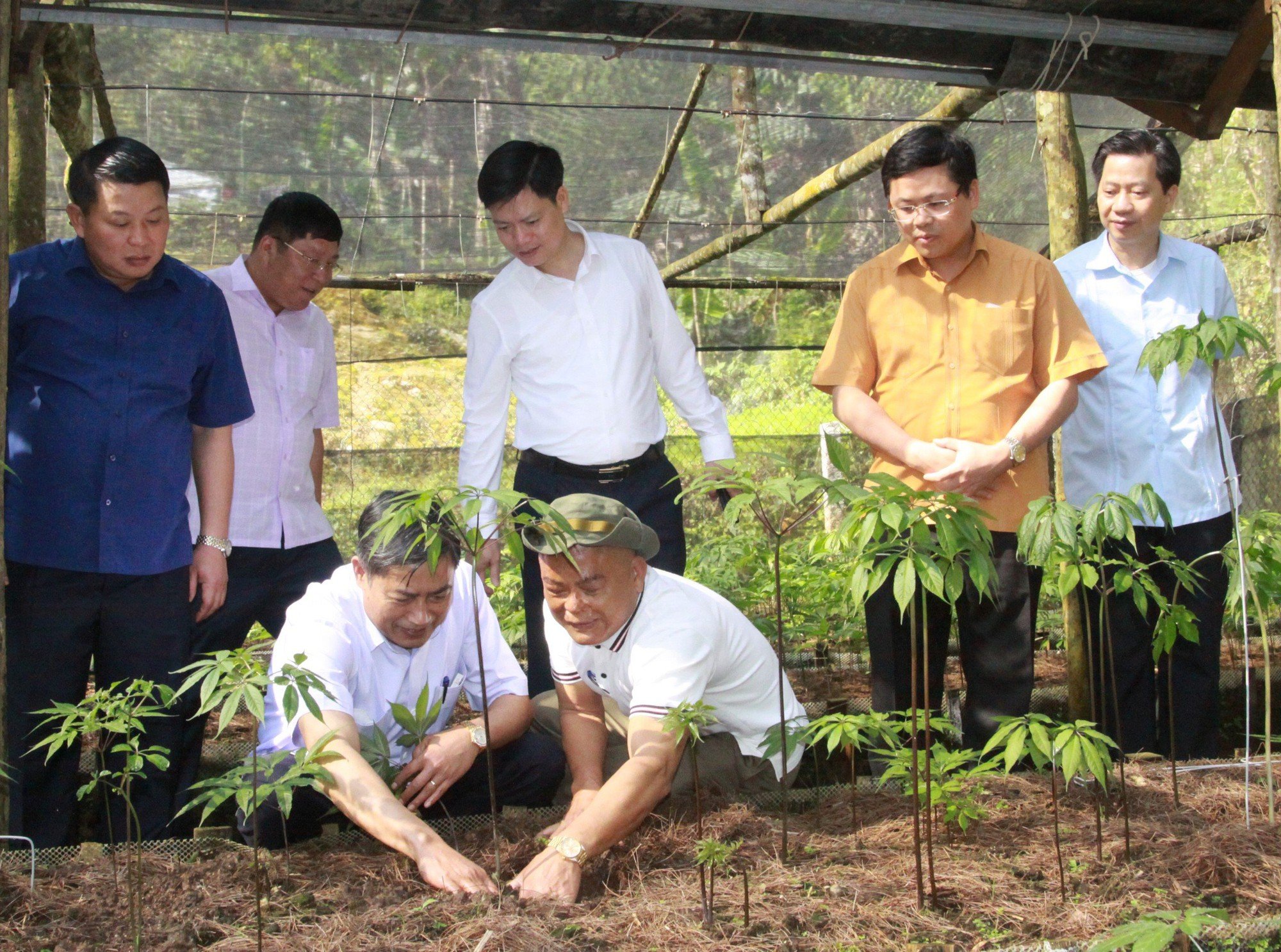  Gala "Sâm Ngọc Linh trên đất Sơn La - Từ Quốc bảo trở thành sinh kế"- Ảnh 2.