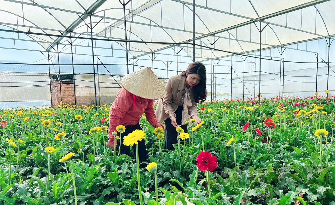Hội Nông dân tỉnh Lâm Đồng: Nghị quyết 46 là sự quan tâm đến cán bộ, hội viên nông dân của Đảng và Nhà nước - Ảnh 3.