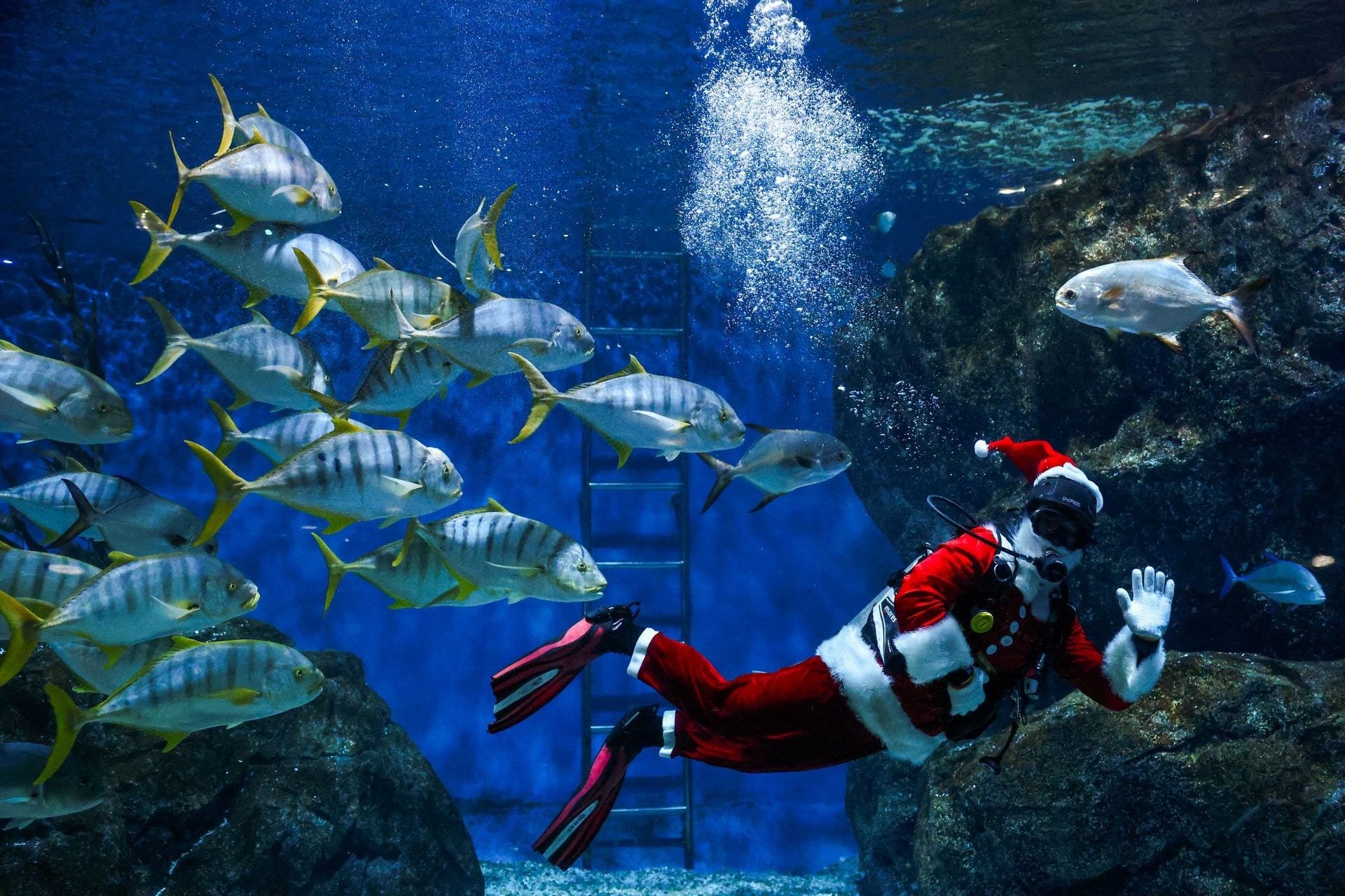 Mùa Giáng sinh năm nay, các ông già Noel trên khắp thế giới đang làm gì? - Ảnh 7.