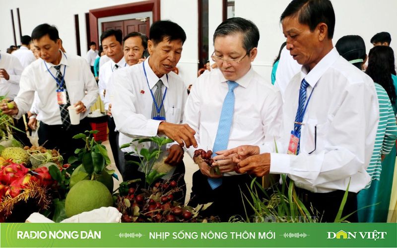 Nhịp sống Nông thôn mới ngày 25/12/2023 - Ảnh 2.