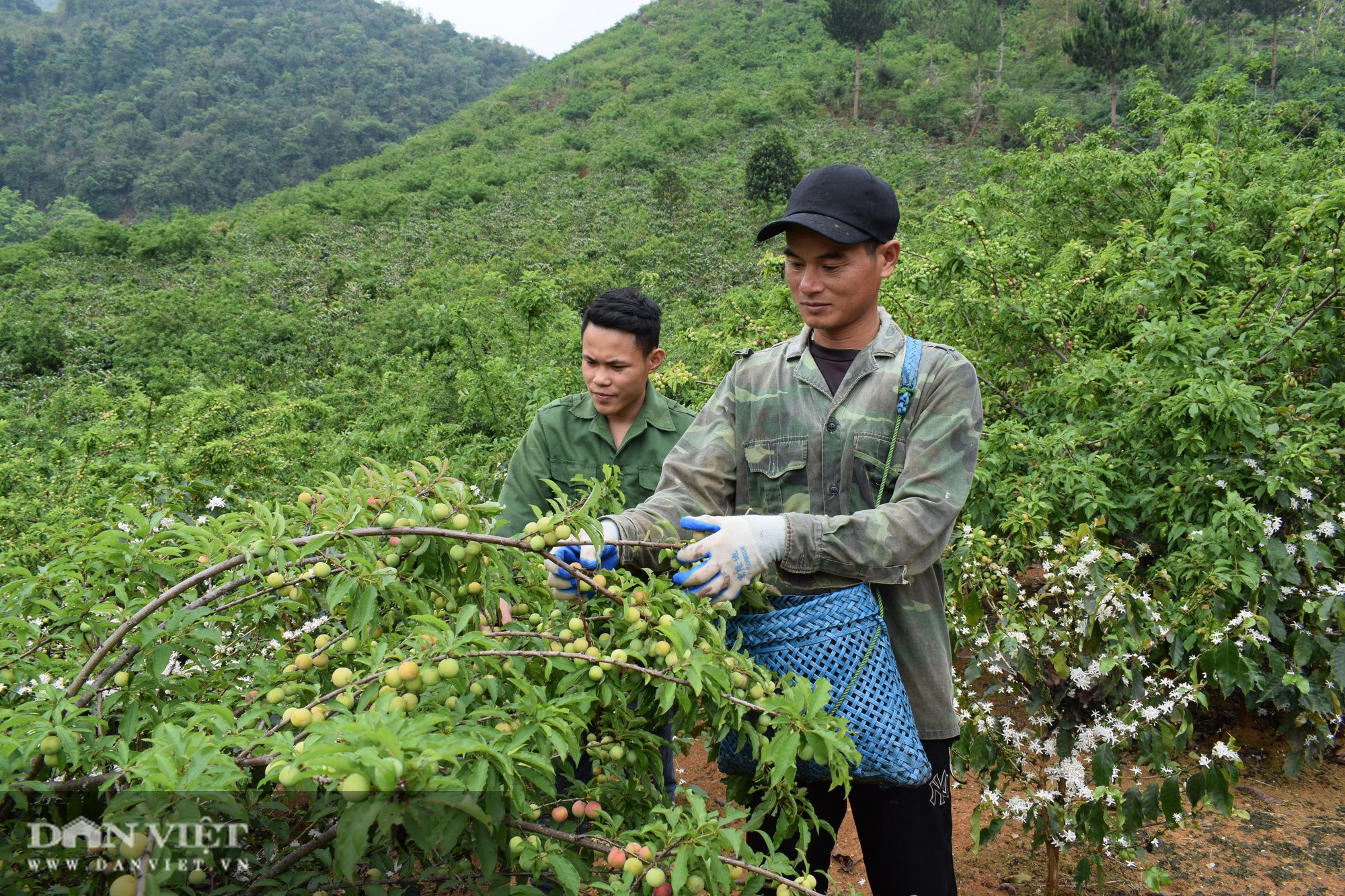 Tổng Bí thư Nguyễn Phú Trọng cùng nhiều lãnh đạo Đảng, Nhà nước dự Đại hội VIII Hội Nông dân Việt Nam- Ảnh 1.
