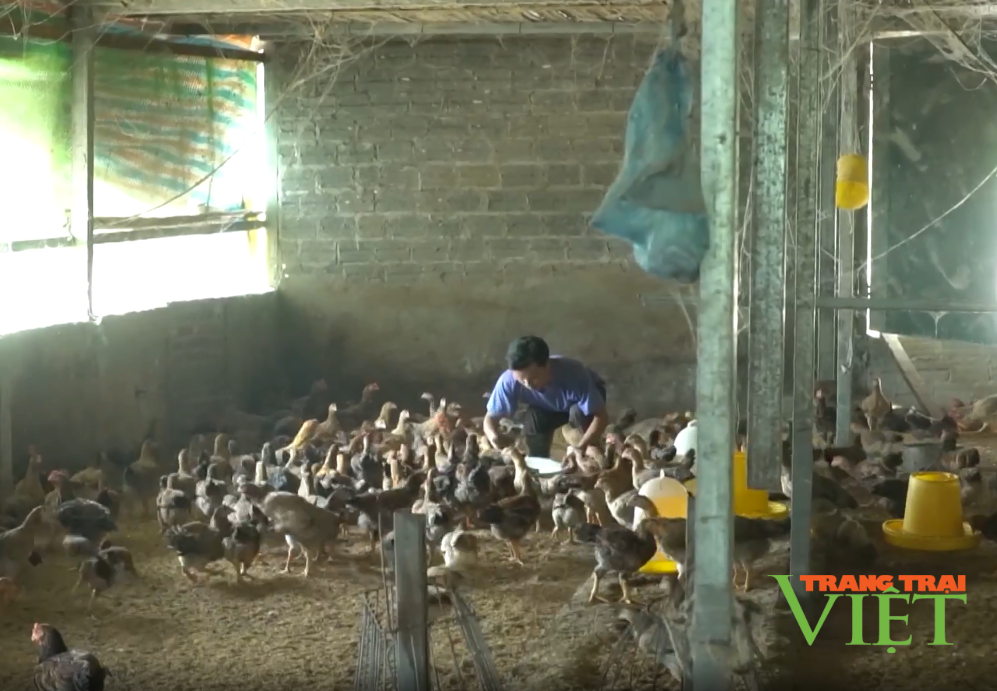 Lai Châu: Nông dân xã Bản Lang chung tay bảo vệ môi trường - Ảnh 3. Lai Châu: Nông dân xã Bản Lang chung tay bảo vệ môi trường - Ảnh 3.