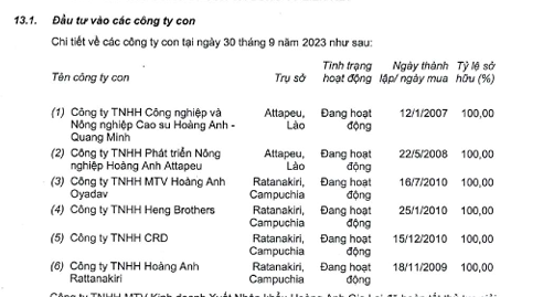 HAGL Agrico (HNG) thành lập công ty con vốn 400 triệu USD tại Lào - Ảnh 1.