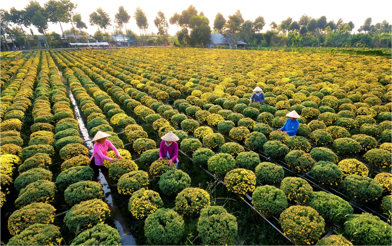 Người Việt đi du lịch trong nước hay xuất ngoại ăn Tết Tây? - Ảnh 1.