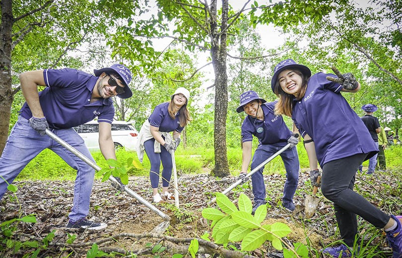 Công ty đa quốc gia từ Anh tham gia trồng rừng để giảm hậu quả biến đổi khí hậu - Ảnh 1.