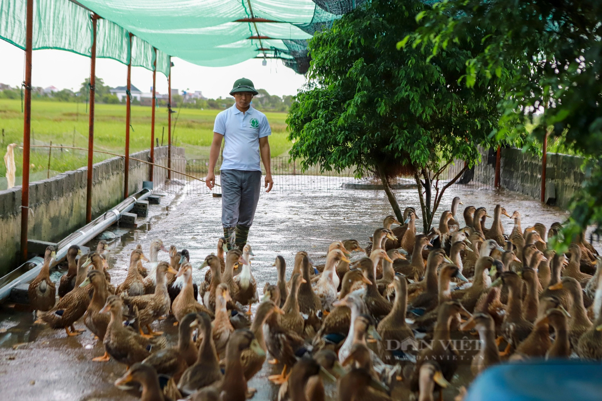 Trước thềm Hội nghị Thủ tướng đối thoại với nông dân năm 2023: Thị trường và vật tư đầu vào vẫn được quan tâm - Ảnh 1.