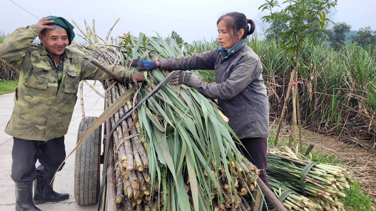 “Thủ phủ” mật mía Hà Tĩnh tất bật vào mùa sản xuất cho dịp tết Nguyên đán- Ảnh 5.
