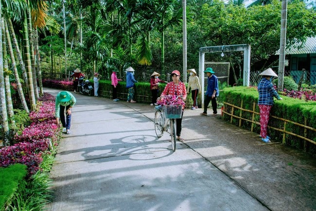 Đường hoa nông thôn mới đẹp ở một xã của Sóc Trăng, thảo nào vô số người chụp hình, quay phim - Ảnh 2.