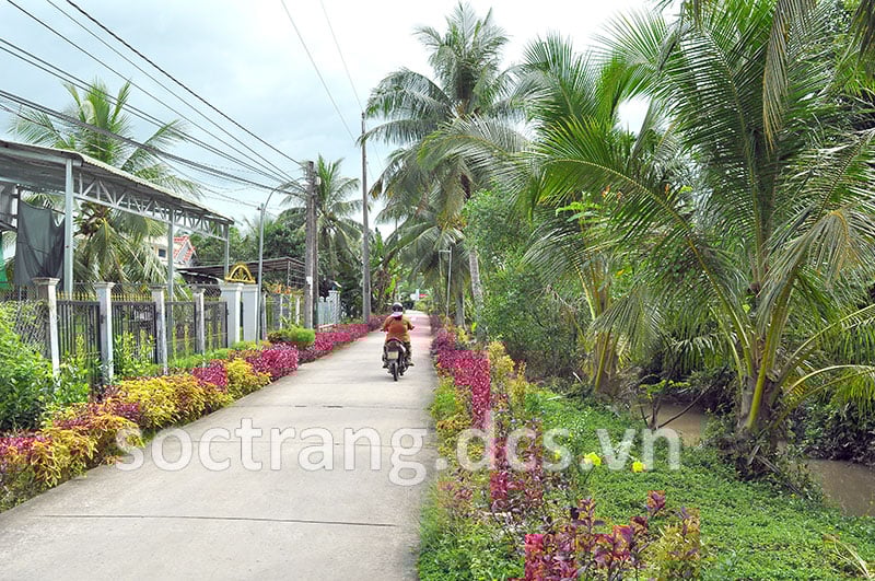 Đường hoa nông thôn mới đẹp ở một xã của Sóc Trăng, thảo nào vô số người chụp hình, quay phim - Ảnh 1.