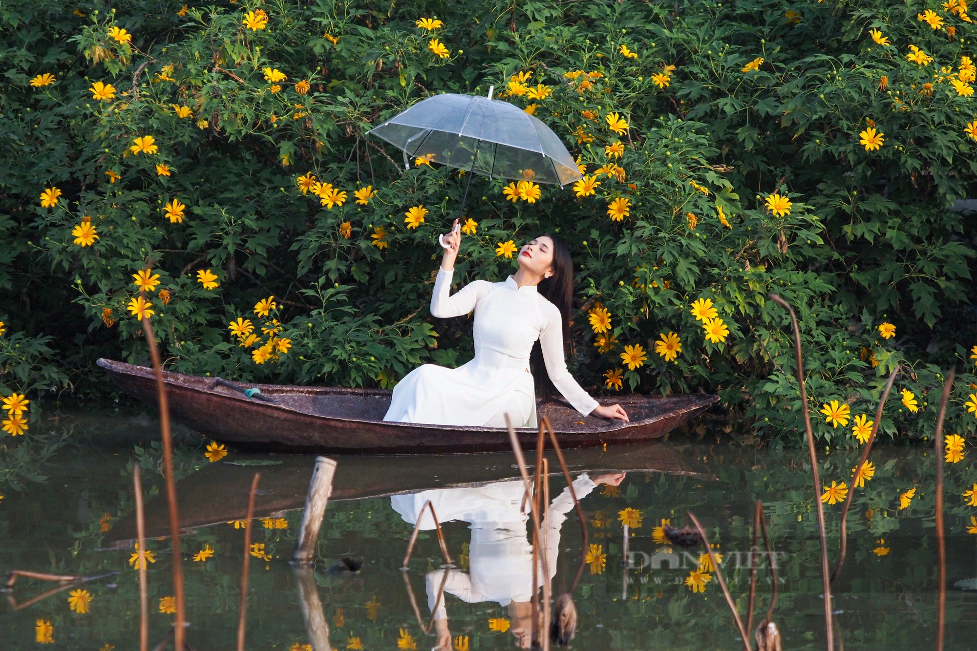 Ảnh ấn tượng tuần: Ngôi làng giàu nhất miền Bắc và chiếc trống đồng Đông Sơn lớn nhất lịch sử - Ảnh 6.