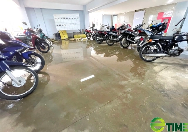 Sau lùm xùm, tai tiếng DOTHI.CO Quảng Ngãi được tỉnh khen thưởng trong thi công công trình 150 tỷ - Ảnh 9. Sau lùm xùm, tai tiếng DOTHI.CO Quảng Ngãi được tỉnh khen thưởng trong thi công công trình 150 tỷ - Ảnh 9.