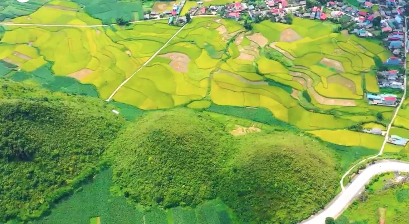 Du lịch Tết dương lịch 2024: tour xuất ngoại đắt show, tour bay nội địa ế ẩm - Ảnh 1.