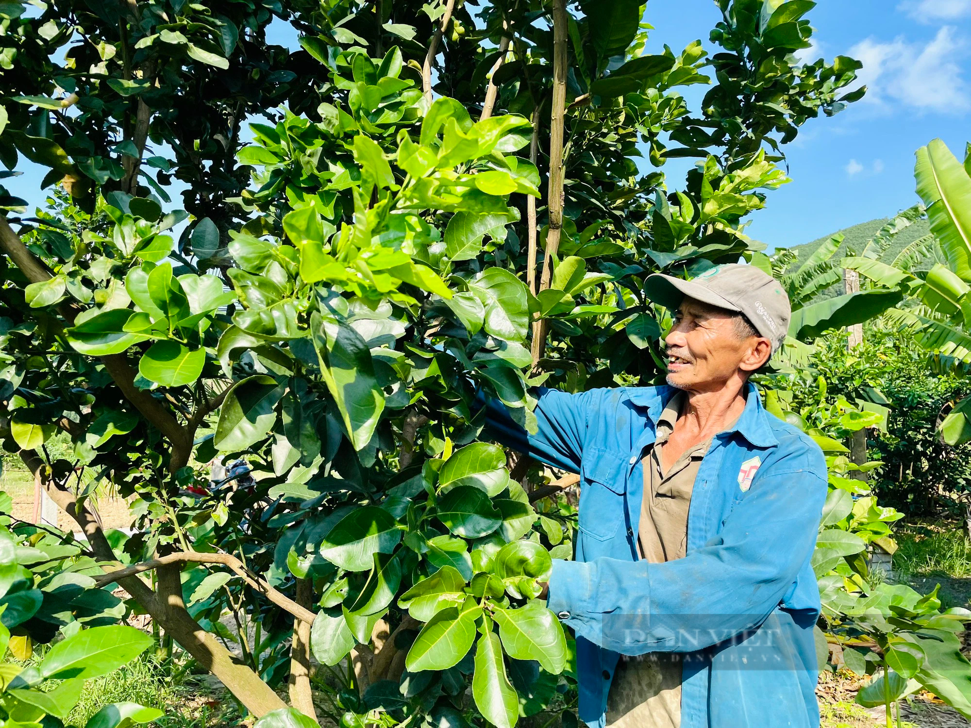 Quảng Nam: Nông Sơn xây dựng nông thôn thành những làng quê đáng sống - Ảnh 2.