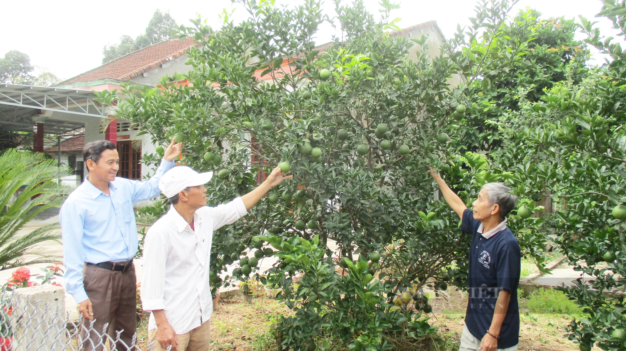 Quảng Nam: Nông Sơn xây dựng nông thôn thành những làng quê đáng sống - Ảnh 5.