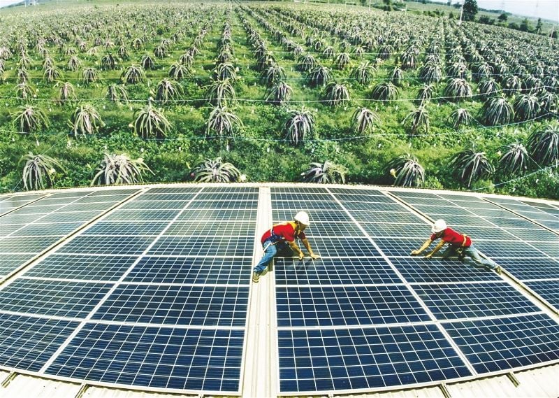 Muốn hút vốn xanh, doanh nghiệp nông nghiệp phải làm gì? - Ảnh 2.