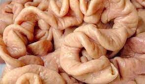3 bộ phận cực bẩn ở lợn, thèm mấy cũng chớ ăn kẻo rước bệnh vào người - Ảnh 2. 3 bộ phận cực bẩn ở lợn, thèm mấy cũng chớ ăn kẻo rước bệnh vào người - Ảnh 2.