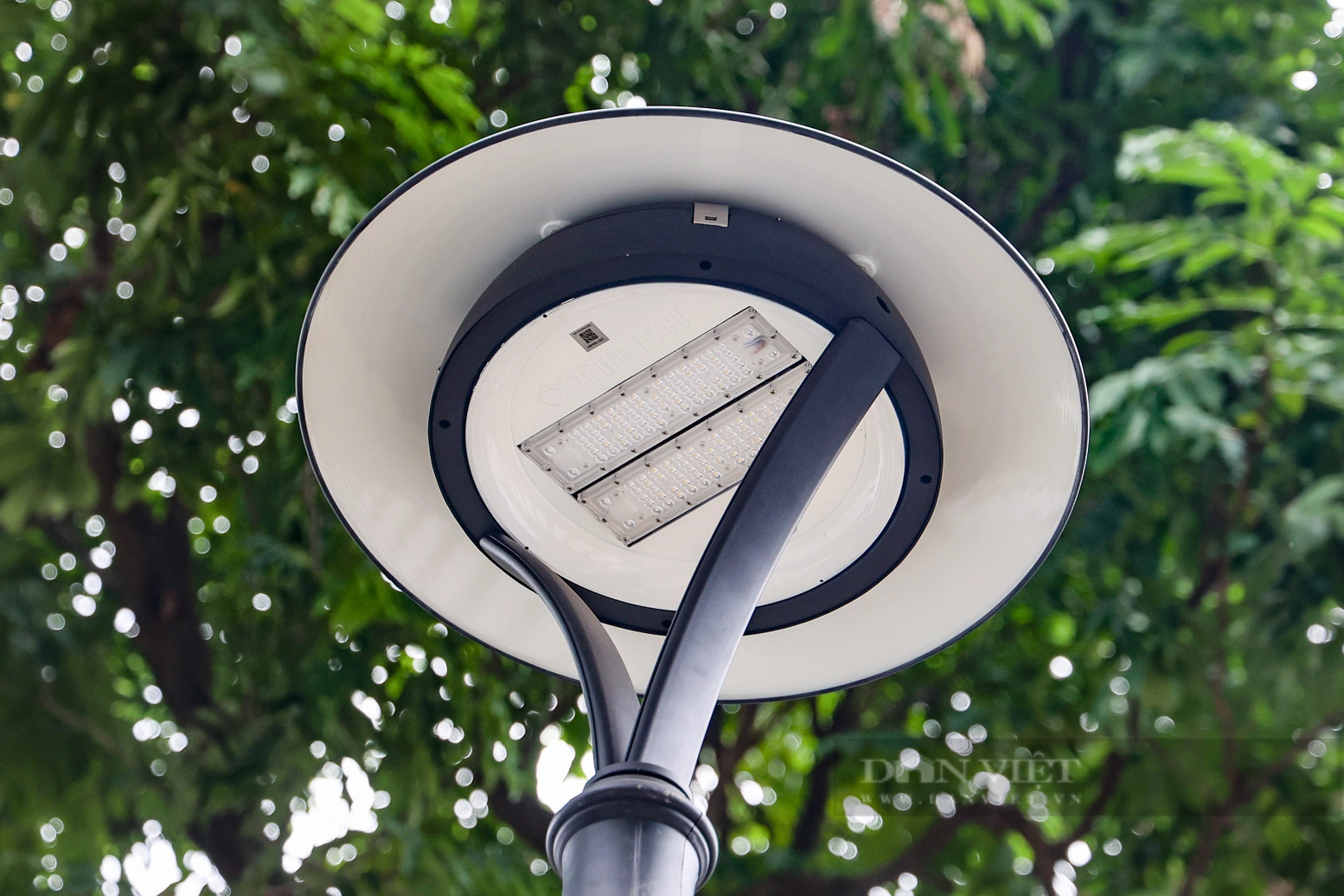 Hiện trạng vườn hoa ở Hà Nội vừa được đầu tư 3 tỷ đồng để cải tạo - Ảnh 8.