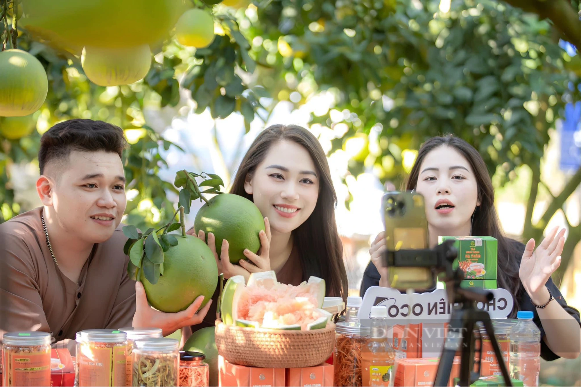 Chị nông dân U50 thu tiền tỷ từ vườn bưởi Đoan Hùng sai trĩu trịt, đẹp như phim trường - Ảnh 4.