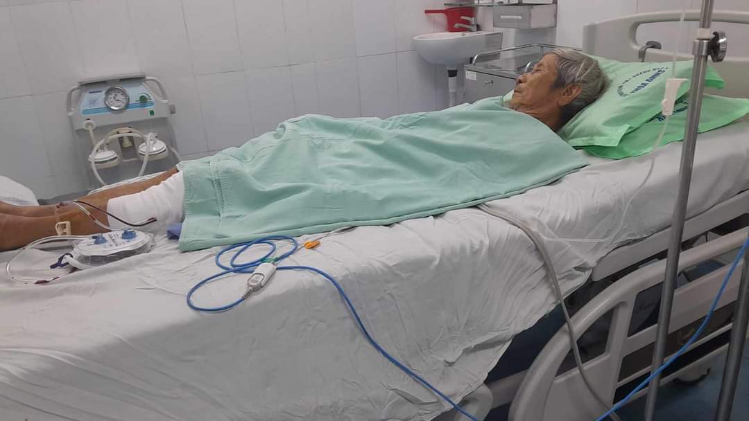 Sẽ bắn thuốc gây mê bắt cá thể khỉ cắn trọng thương người và chết 4 con chó ở Quảng Nam - Ảnh 2.