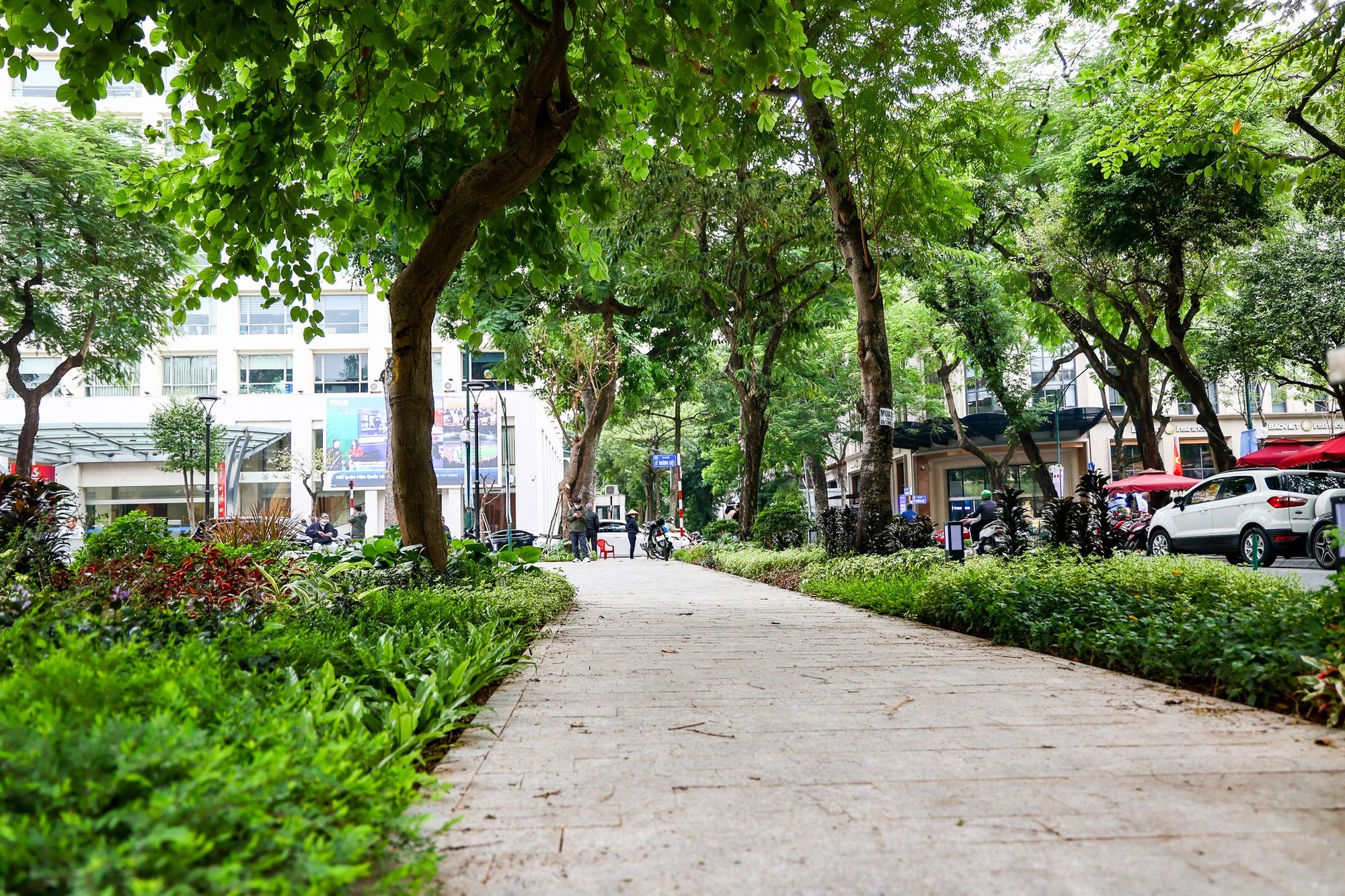 Hiện trạng vườn hoa ở Hà Nội vừa được đầu tư 3 tỷ đồng để cải tạo - Ảnh 12.