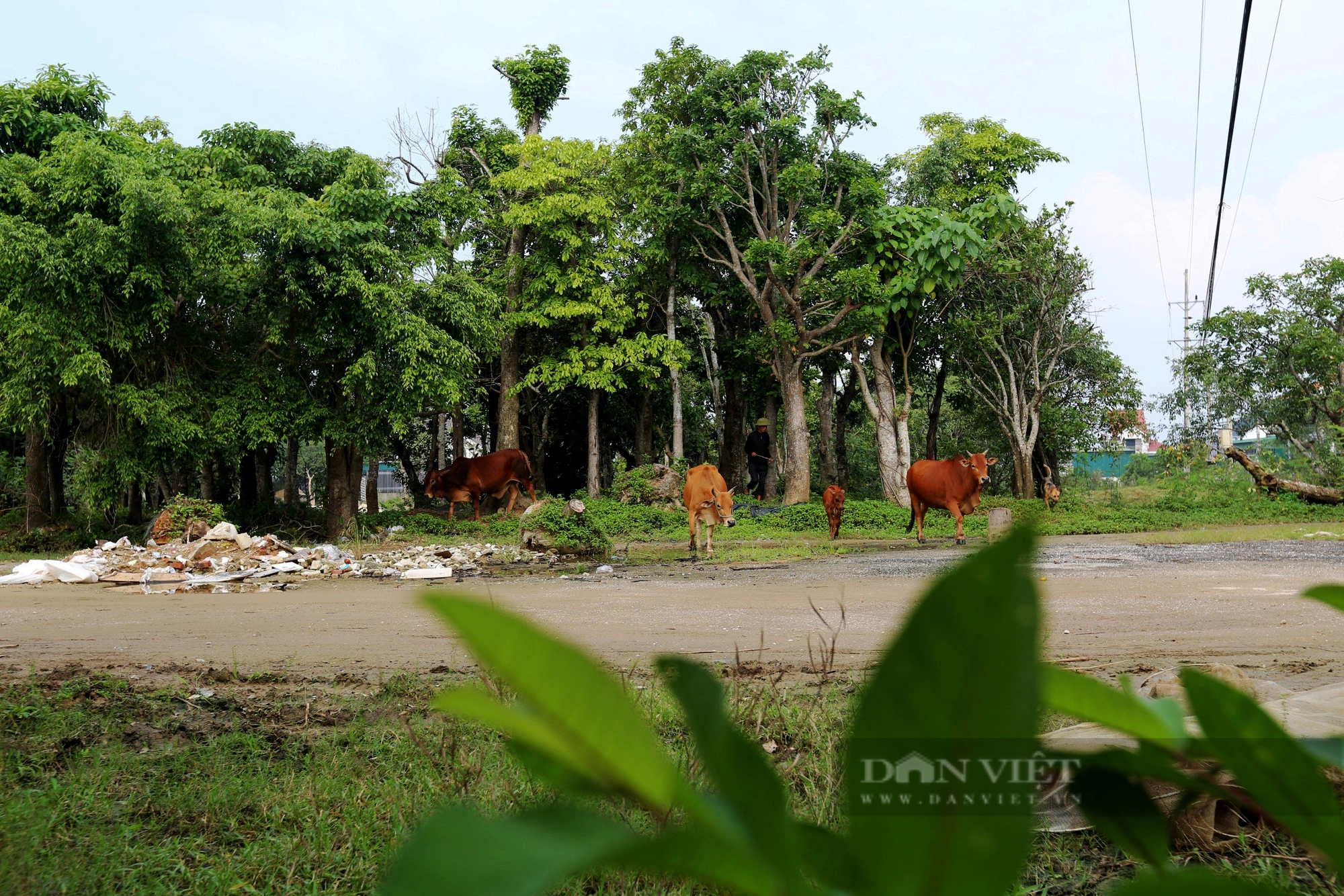 Hà Tĩnh: Dự án sinh thái rộng 14ha, đầu tư 26 tỷ đồng tại khu đất vàng biến thành khu du lịch “ma” - Ảnh 4.