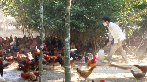 Quảng Nam: Huyện Tiên Phước phấn đấu đạt chuẩn huyện nông thôn mới vào năm 2025 - Ảnh 6.