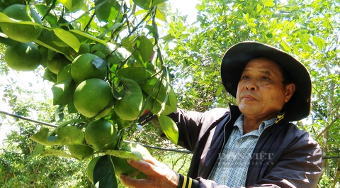 Quảng Nam: Tiên Phước quyết tâm hoàn thành huyện nông thôn mới vào năm 2024 - Ảnh 8.