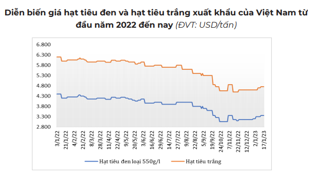 Thị trường lặng sóng giữa mùa thu hoạch, giá tiêu ảm đạm vì sao? - Ảnh 2.