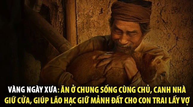 Hài hước những kiểu mua vàng gây sốt mạng xã hội ngày vía Thần tài - Ảnh 20.