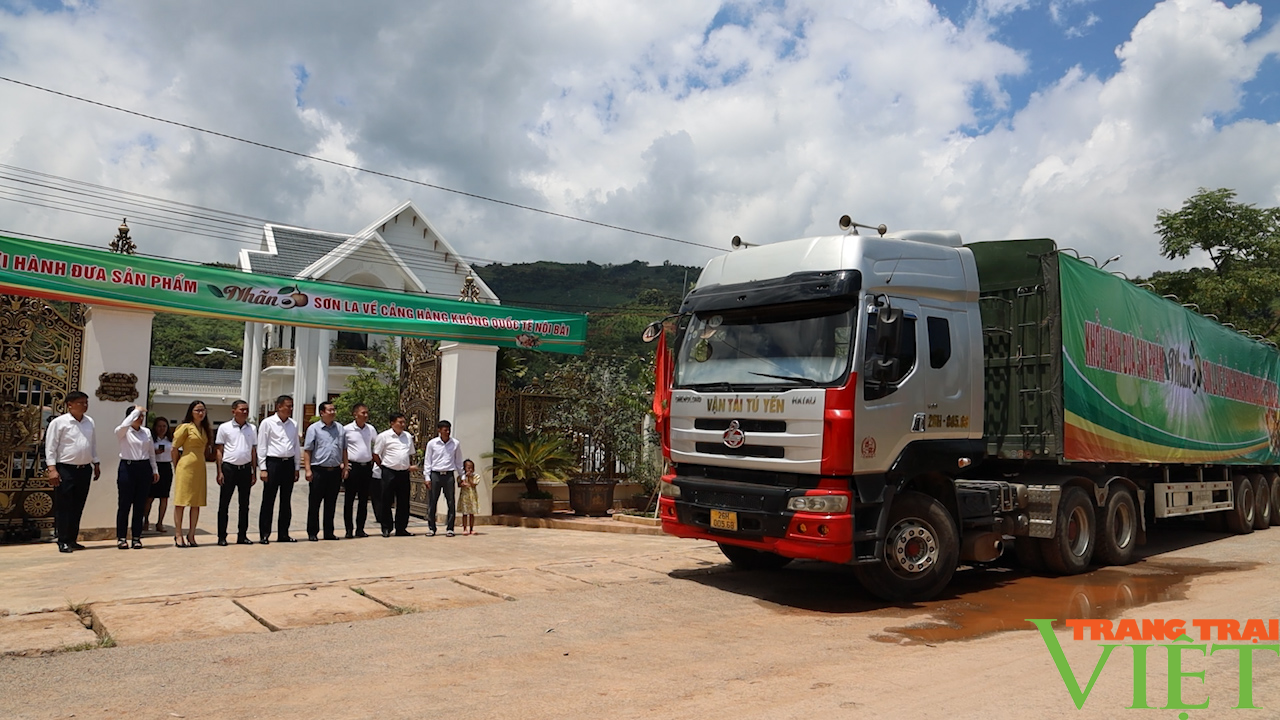 Sơn La: Mở rộng thị trường cho sản phẩm nông nghiệp - Ảnh 6.