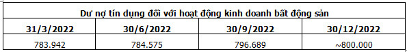 Dư nợ tín dụng bất động sản 2022 khoảng 800 ngàn tỷ - Ảnh 1.